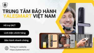 chính sách bảo hành